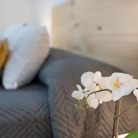 Apartman Vivir